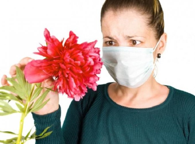 Ценные советы для тех, кто страдает аллергией на цветение растений