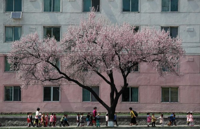 Как на самом деле живут люди в Северной Корее. Фото