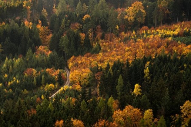 Магическая осень в горном парке Rudawy Janowickie Landscape. Фото