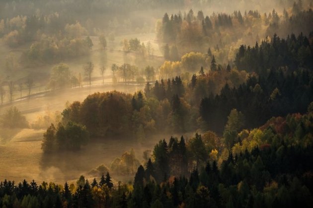 Магическая осень в горном парке Rudawy Janowickie Landscape. Фото