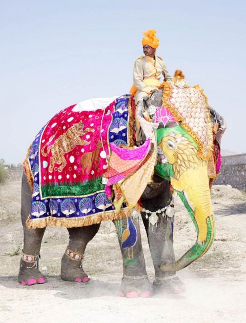 Невероятное зрелище: фестиваль раскрашенных слонов в ярких снимках. Фото