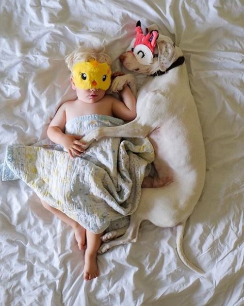 Трогательная дружба ребенка и собаки. Фото