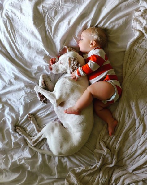 Трогательная дружба ребенка и собаки. Фото