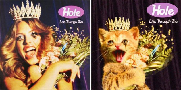 Так бы выглядели известные музыкальные альбомы с кошками вместо артистов. Фото