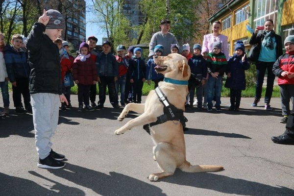 В Авдеевке служебный пес помог обезвредить российский дрон со взрывчаткой