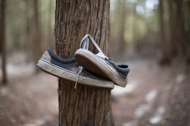 Необычный обувной лес в окрестностях Онтарио. Фото