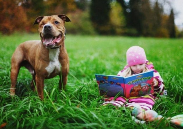 Каждый ребенок нуждается в собаке: милые картинки для поднятия настроения