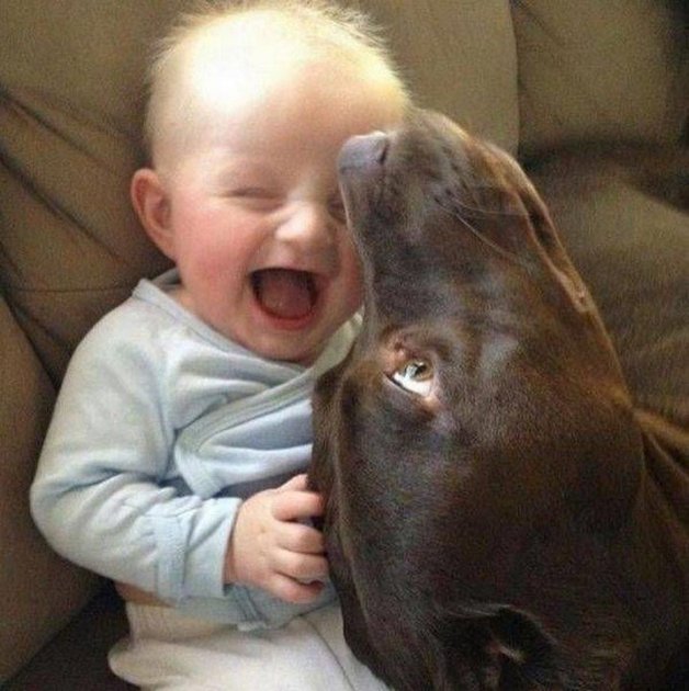 Каждый ребенок нуждается в собаке: милые картинки для поднятия настроения