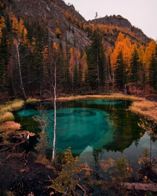 Яркие кадры повседневности, которые «перезагрузят» ваш разум. Фото