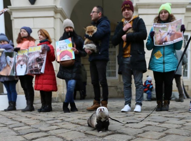«Знімай хутро назавжди»: у Львові відбулася масштабна акція. Фото