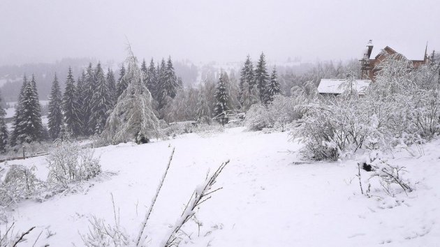 В Карпатах знову випав сніг