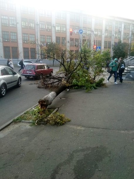 У Києві потужний вітер наробив безладу. Фото