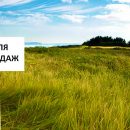 Головні питання при продажу власної земельної ділянки