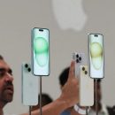 Айфон 15 сейчас или ждать выхода iPhone 16? Что советуют эксперты